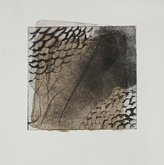 10 x 10 cm