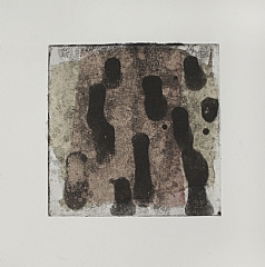 10 x 10 cm