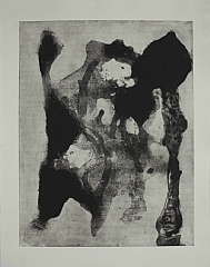 60 x 75 cm
