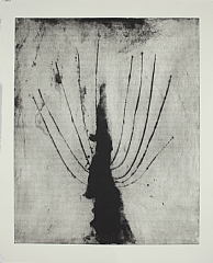 60 x 75 cm
