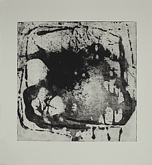 50 x 50 cm