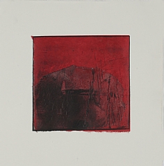 20 x 20 cm
