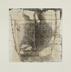 c2-25 cm x25 cm